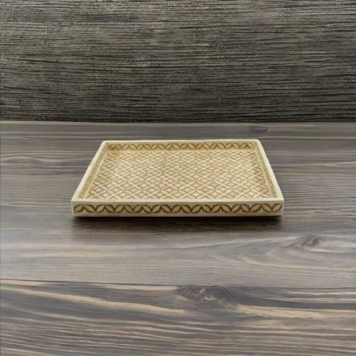 tray21.jpg