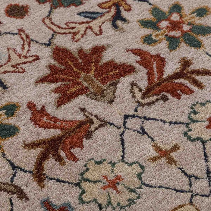 rug24