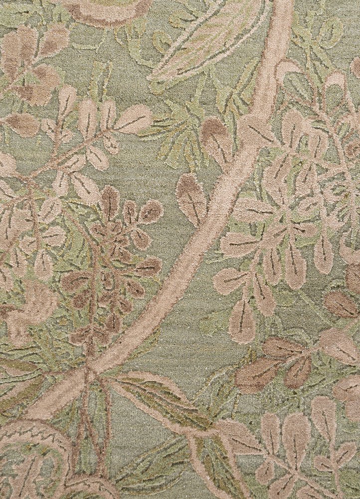 rug84